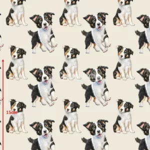 Repetitive-Bcollie
