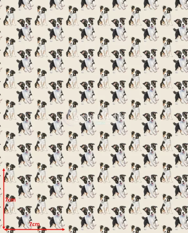 Repetitive-Bcollie - Image 2