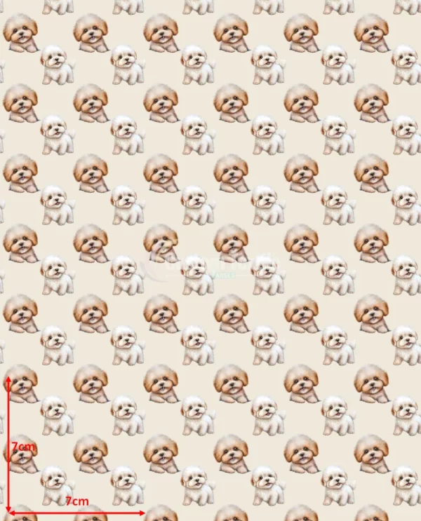 Repetitive-Bichon - Image 2