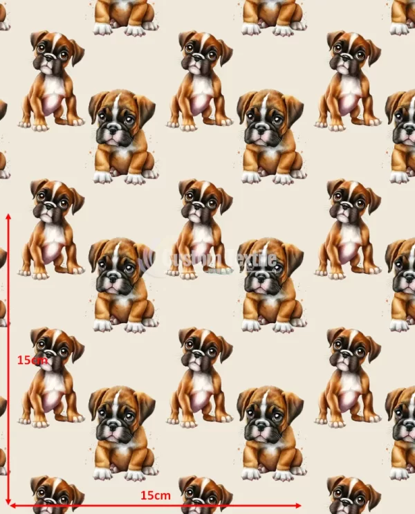 Repetitive-Boxer