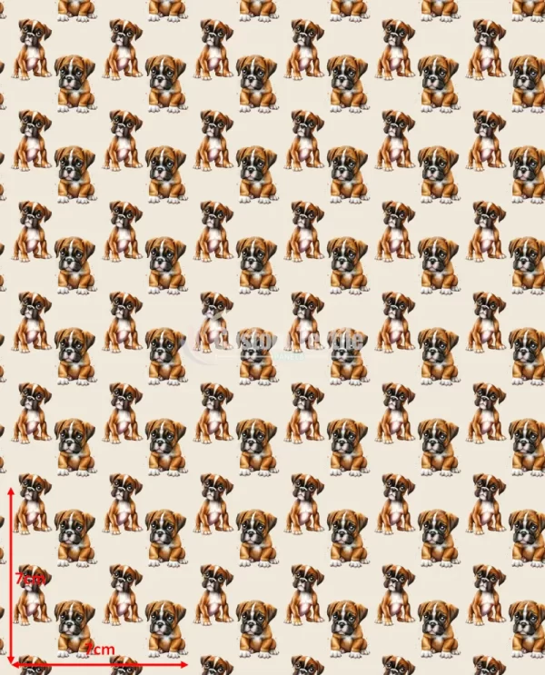 Repetitive-Boxer - Image 2