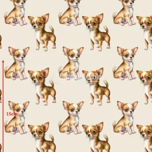 Repetitive-Chihuahua