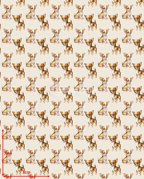 Repetitive-Chihuahua - Image 2