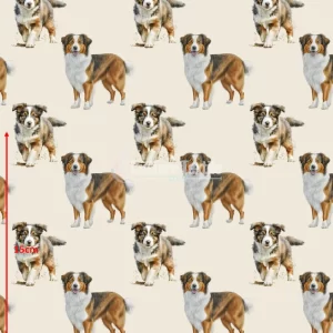 Repetitive-Collie