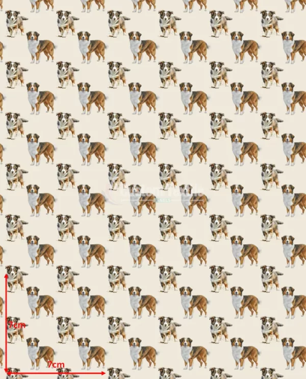 Repetitive-Collie - Image 2
