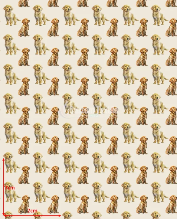 Repetitive-Lab2 - Image 2