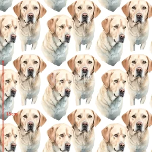 Repetitive-Labs2