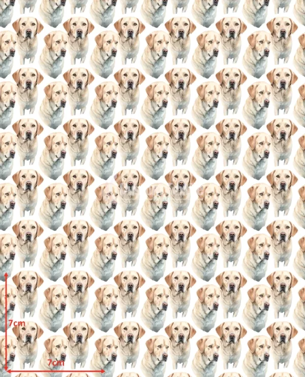 Repetitive-Labs2 - Image 2