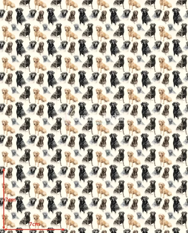 Repetitive-Labs3 - Image 2