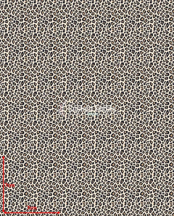 Repetitive-Leopard1 - Image 2