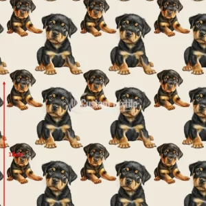 Repetitive-Rottie