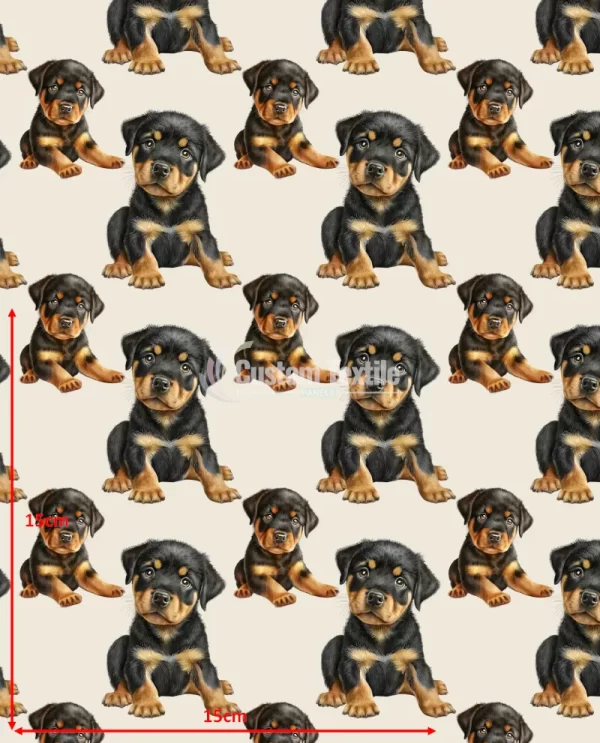 Repetitive-Rottie