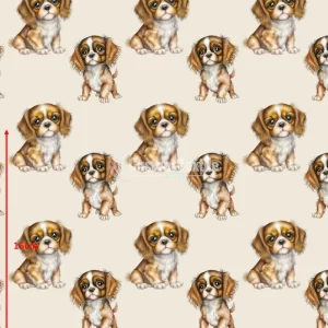 Repetitive-Spaniel