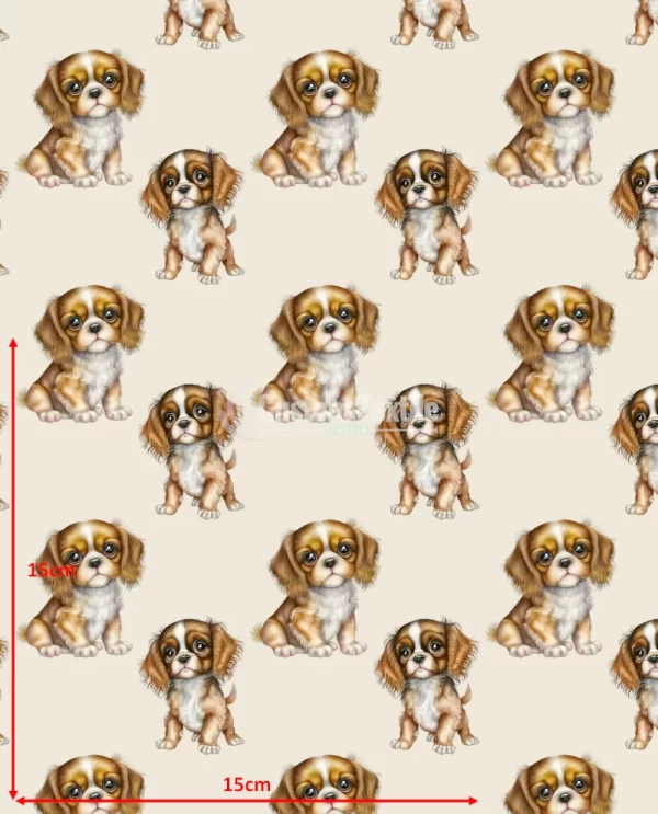 Repetitive-Spaniel