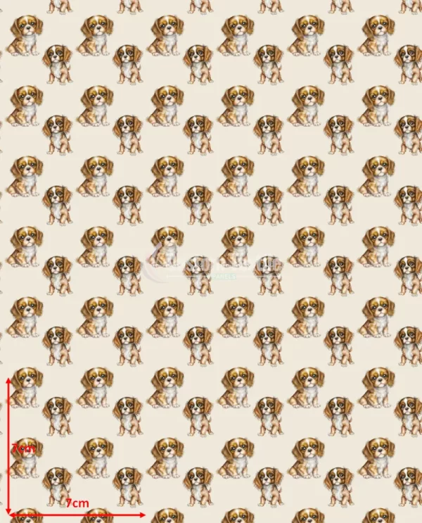 Repetitive-Spaniel - Image 2