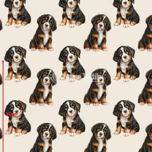 Repetitive-Stbernard