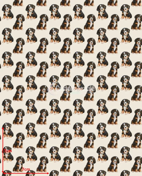 Repetitive-Stbernard - Image 2