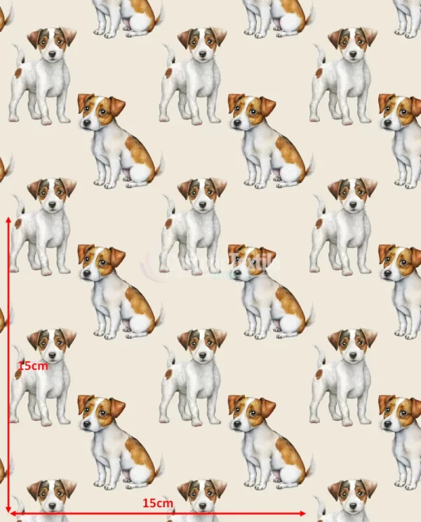 Repetitive-Terrier