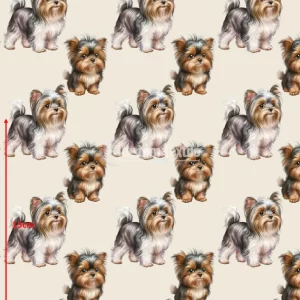 Repetitive-Yorkie