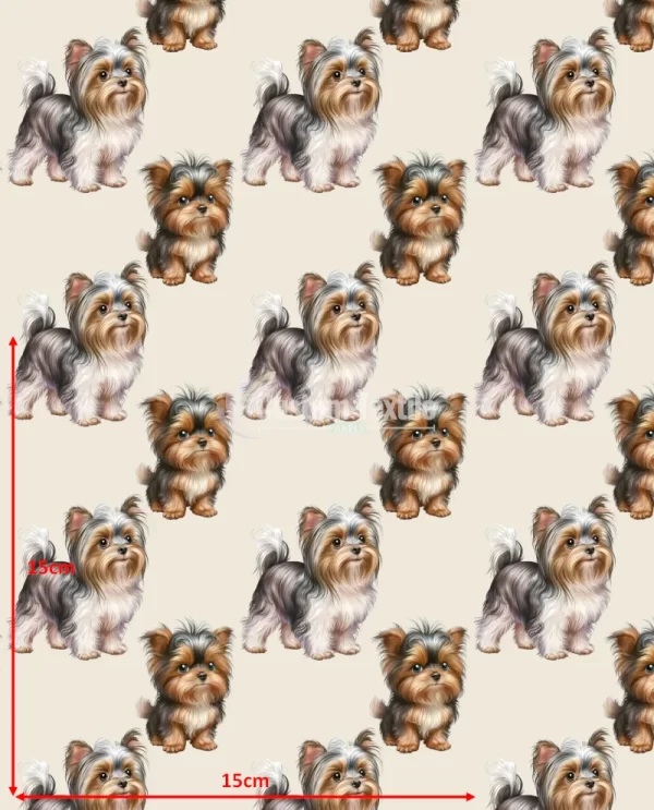 Repetitive-Yorkie