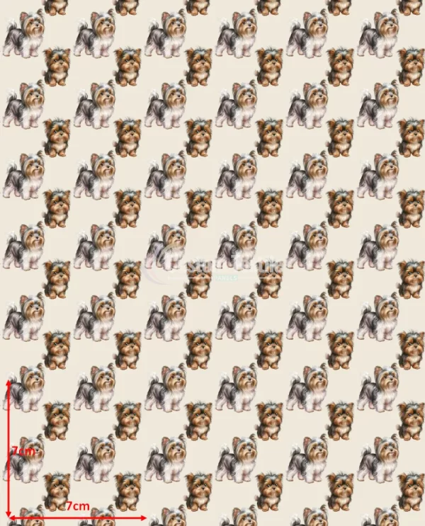 Repetitive-Yorkie - Image 2