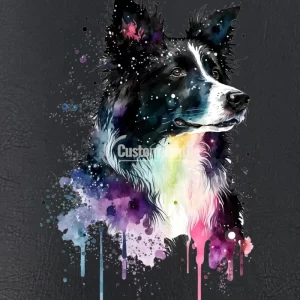 Bcollie002