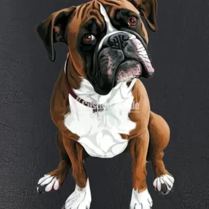 Boxer001