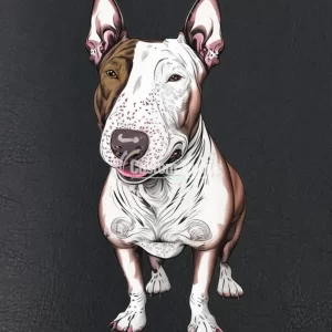 Bullterrier