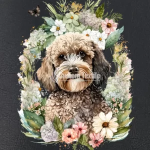 Cockapoo001