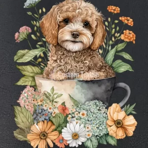 Cockapoo004