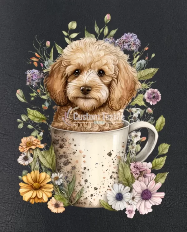 Cockapoo009