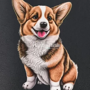 Corgi