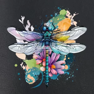 Dragonfly001