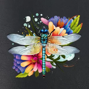 Dragonfly002