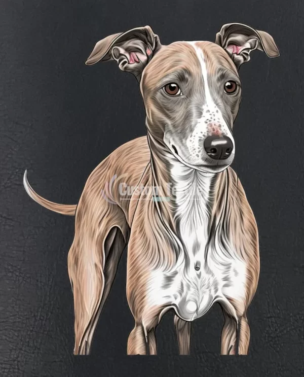 Greyhound