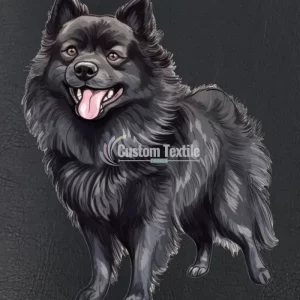 Schipperke