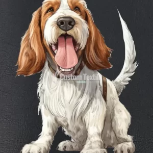 Spinoneitaliano