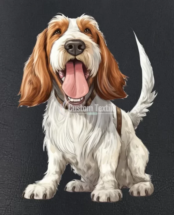 Spinoneitaliano