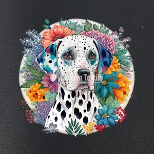 Dalmatian002