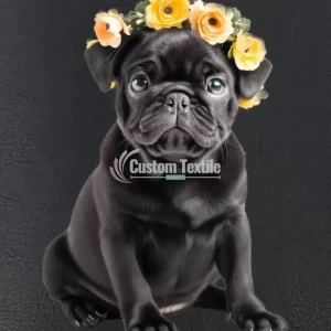 Pug004