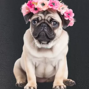 Pug006