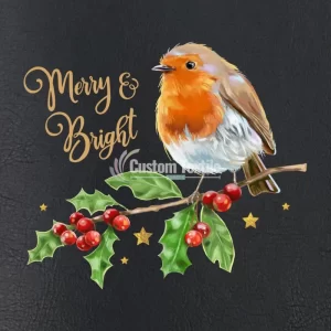 Xmas-Robin