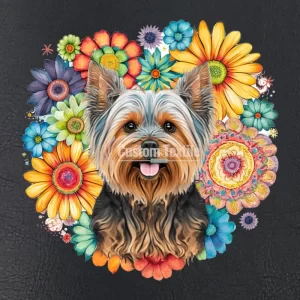 Yorkie001