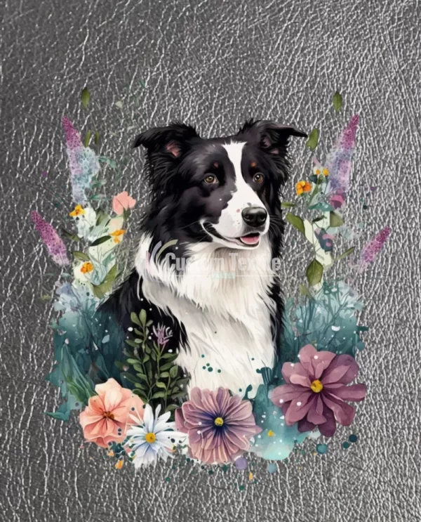 Bcollie001 - Image 2
