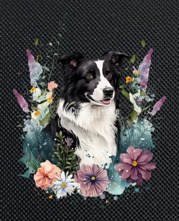 Bcollie001 - Image 3