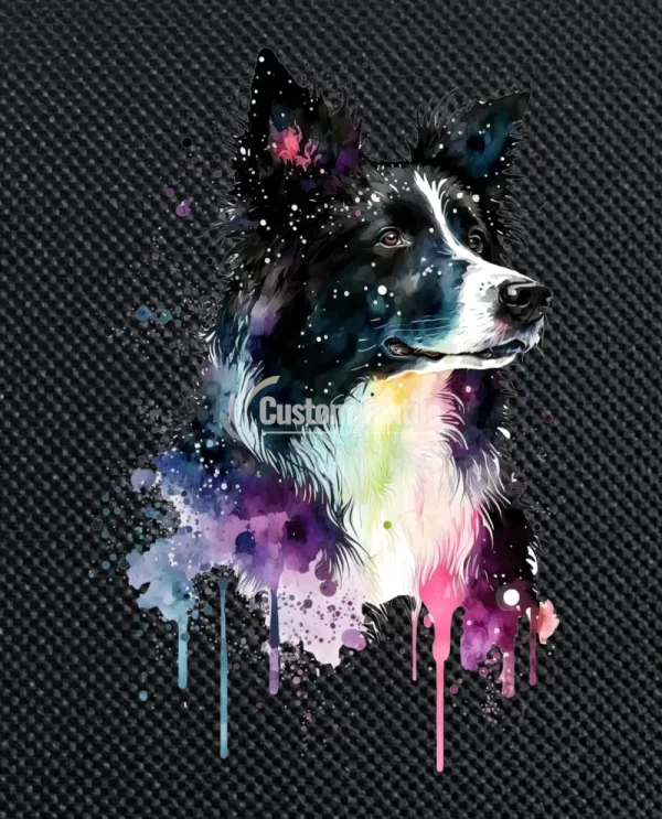 Bcollie002 - Image 3