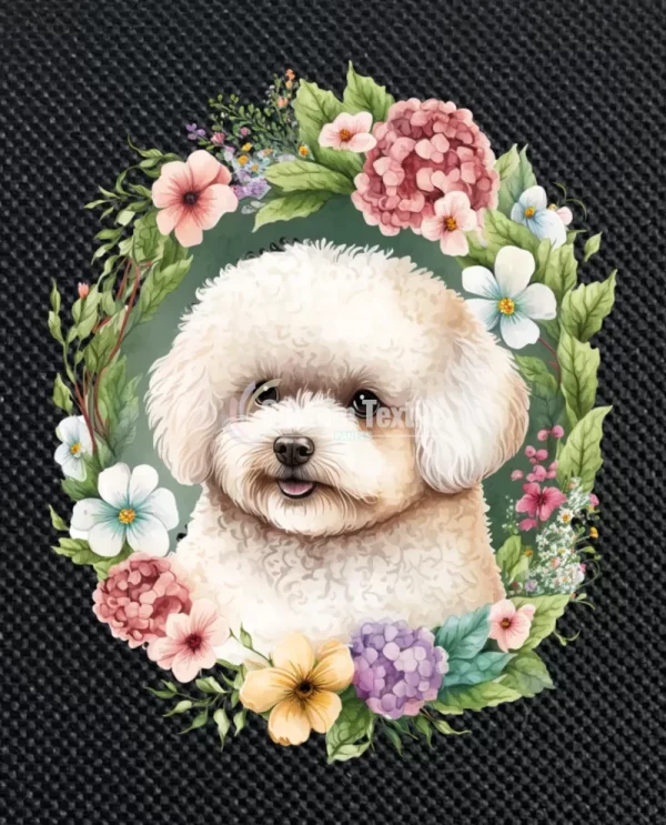 Bichon003 - Image 3