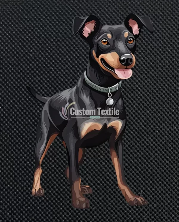 Manchesterterrier - Image 3