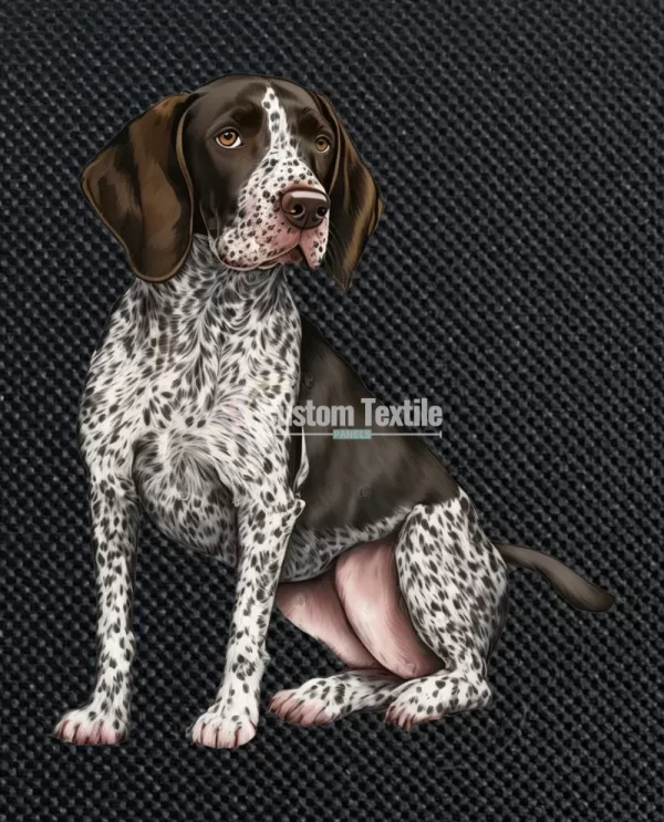 Pointer - Image 3