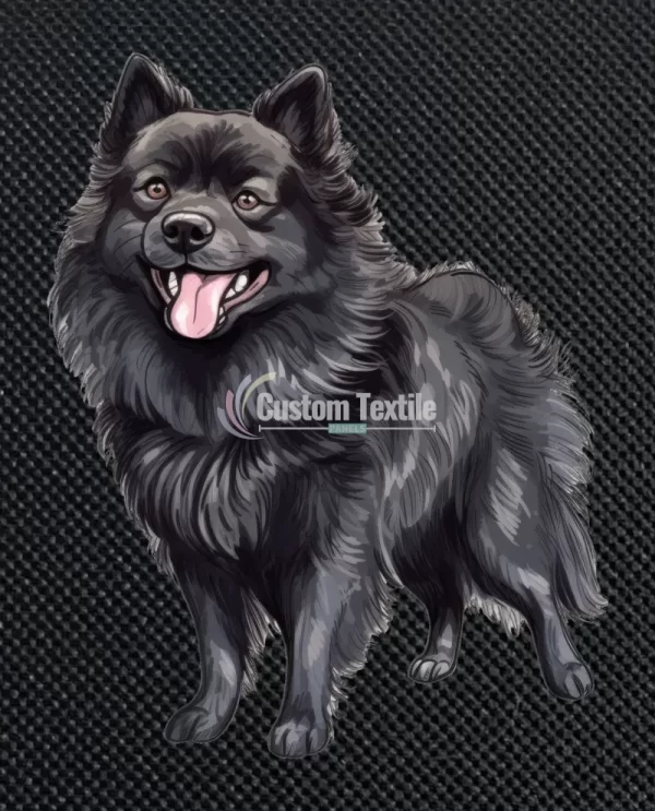 Schipperke - Image 3